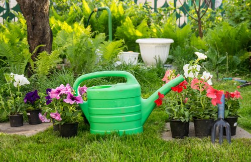 Soft landscaping project transforming a Kentishtown garden with turf and planting