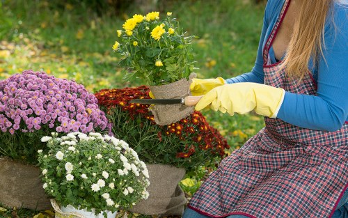 Clear itemized landscaping pricing for Kentishtown property owners
