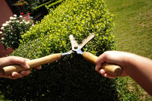 Payment and invoice terms for landscaping services