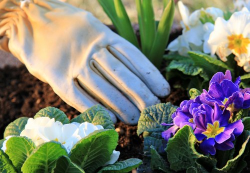 Seasonal Kentishtown garden landscaping with balanced textures and healthy planting