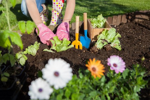 Before-and-after style garden transformation idea for a compact Kentishtown garden