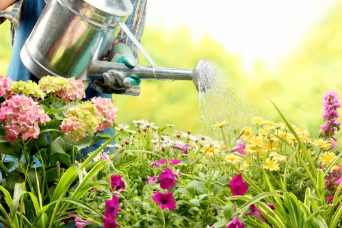 Free quote assessment for a townhouse garden landscaping job