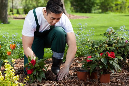 Team member reviewing ethical sourcing documents in a landscaping setting