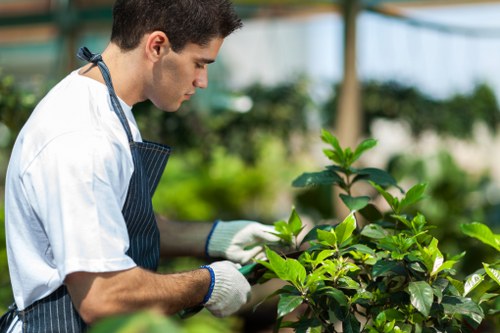 Ethical landscaping operations focused on fair and lawful working practices