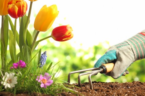 Preparing soil and installing new plants during soft landscaping in Kentishtown