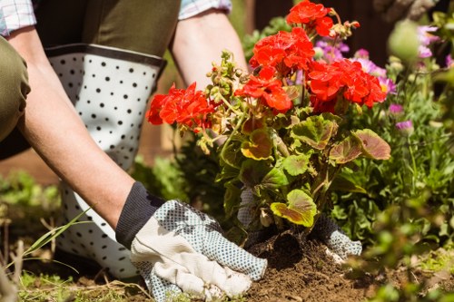 Low-maintenance planting and paving in a Kentishtown garden
